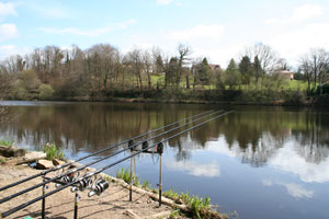 Left of the House Swim