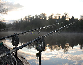 Early morning over the rods