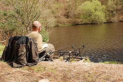 Fishing the tree line