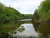 Scenic view from the shallows